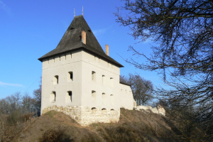 Старостинський замок, Галич